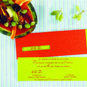 Only Folder 9cm x 29cm Κωδ. 219